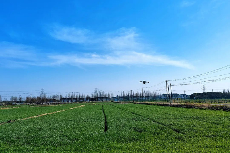 沃野逐春光，田畴织锦绣丨春耕时节，绘就希望田野
